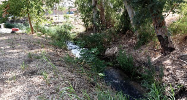 נחל עין הזהב כיום (צילום: אביהו שפירא) נחל עין הזהב כיום