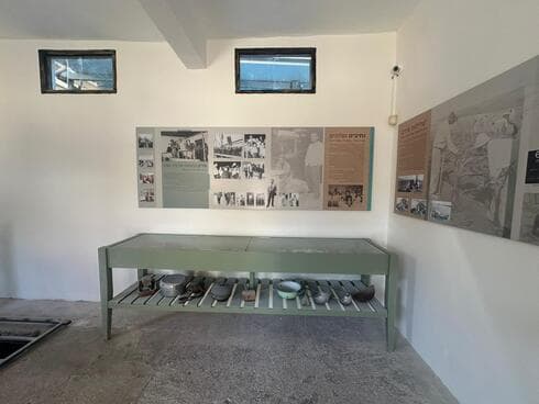 התצוגה המרהיבה (צילום: אלבום משפחת אבידב) התצוגה המרהיבה