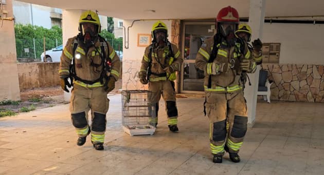 לוחמי האש שפעלו בשריפה לוחמי האש שפעלו בשריפה