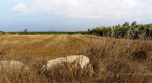 גוש רעננה (צילום: shutterstock) גוש רעננה