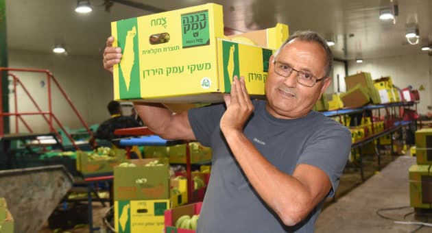 משה נבון בבית האריזה בצמח (צילום: אביהו שפירא) משה נבון