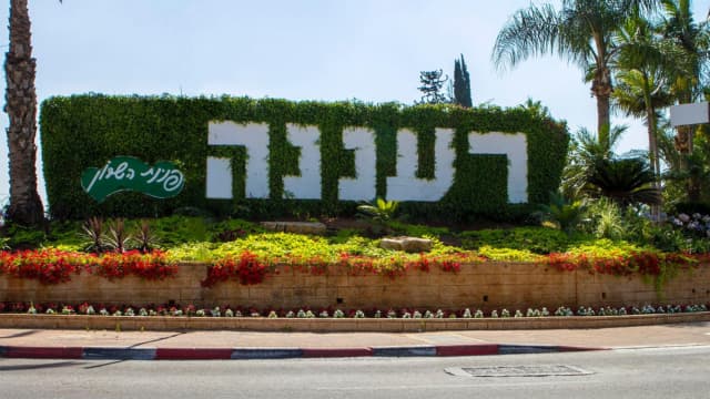 רעננה. עיר גדולה רעננה. עיר גדולה