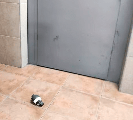 רימון ליד המעלית בחולון (צילום: באדיבות התושבים) רימון ליד המעלית בחולון