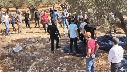 המסיק של תושבי רמות המסיק של תושבי רמות