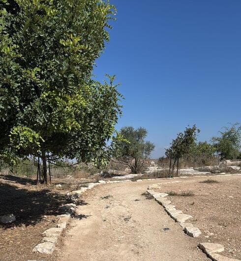 השביל החדש בגבעת התיתורה במודיעין השביל החדש בגבעת התיתורה במודיעין