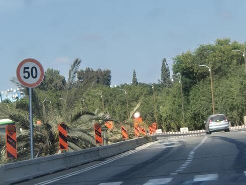 עצי דקל כרותים לאורך כביש 40 בפתח תקוה עצי דקל כרותים לאורך כביש 40 בפתח תקוה