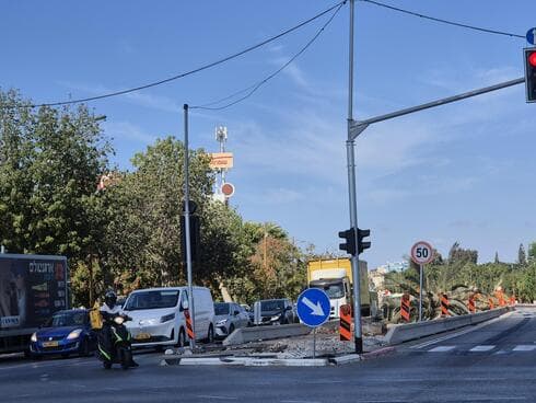 עצי דקל כרותים לאורך כביש 40 פתח תקוה (צילום: שירות מיינט) עצי דקל כרותים לאורך כביש 40 פתח תקוה