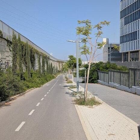 "השביל הסודי" בראשון לציון (צילום: שי שגב) "השביל הסודי" בראשון לציון