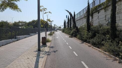 "השביל הסודי" בראשון לציון (צילום: שי שגב) "השביל הסודי" בראשון לציון