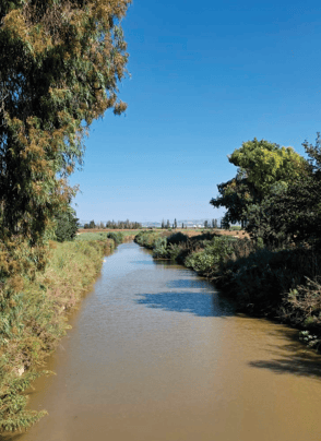 מבט מגשר עץ האהבה (צילום: שלי גולדשמידט) מבט מגשר עץ האהבה
