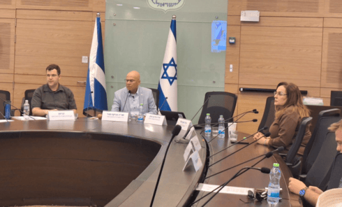 הדיון בוועדה הדיון בוועדה