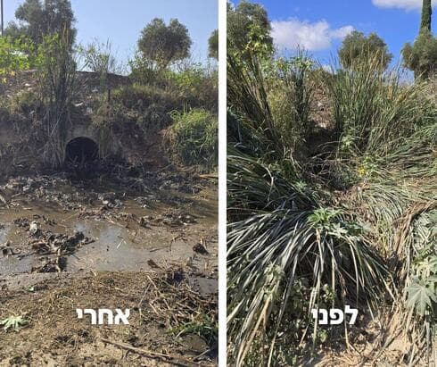 ברחובות מתכוננים לחורף (צילום: עיריית רחובות) ברחובות מתכוננים לחורף