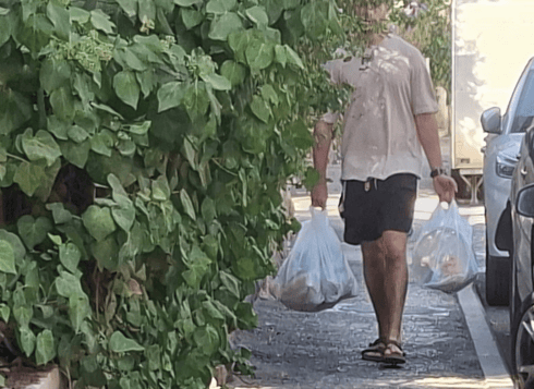 צמחיה בדרך (צילום: באדיבות התושבים) צמחיה בדרך