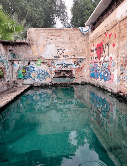 מעיין עין ג'ונס (צילום: שלי גולדשמידט) מעיין עין ג'ונס