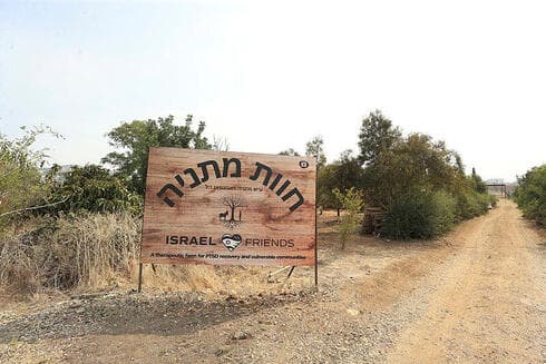 סנדי בן זקן 