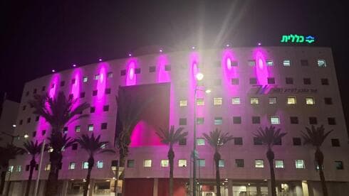 מאירים בסגול (צילום: דוברות כללית) מאירים בסגול