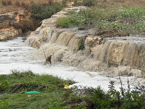 פארק ענבה במודיעין (צילום: עיריית מודיעין) פארק ענבה במודיעין