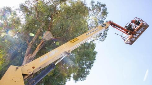 היערכות לקראת הסופה ביירון בפתח תקוה (צילום: דוברות עיריית פתח תקוה) היערכות לקראת הסופה ביירון בפתח תקוה