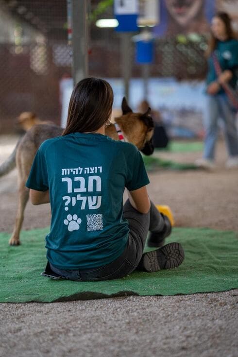 לייה פורת