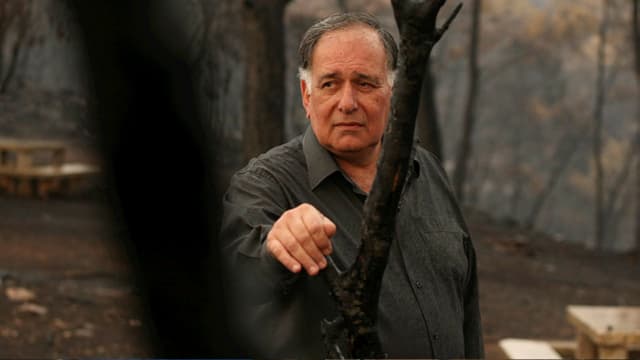 יונה יהב באסון הכרמל 2006