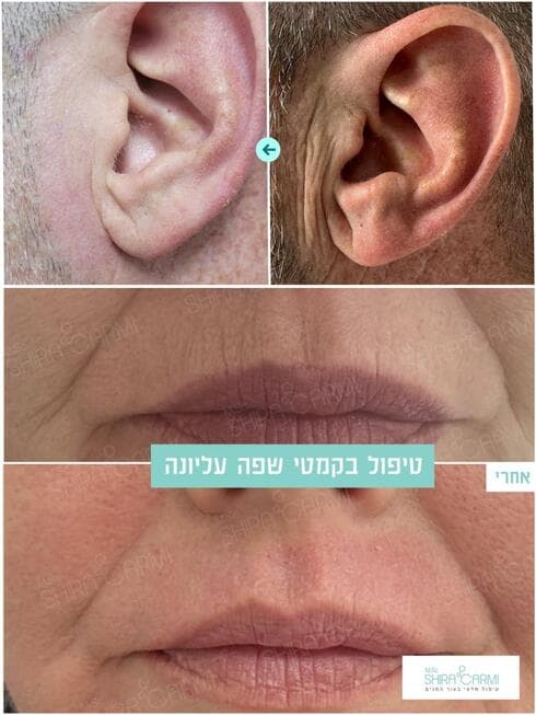 צילום: באדיבות שירה כרמי