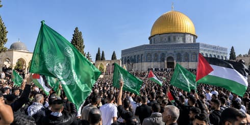 "לא היו סימני חיבוב או תגובות"