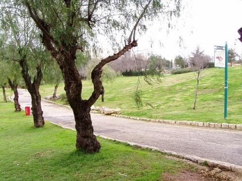 גן סאקר. צילום: מתוך האתר הרשמי עיריית ירושלים גן סאקר. צילום: מתוך האתר הרשמי עיריית ירושלים