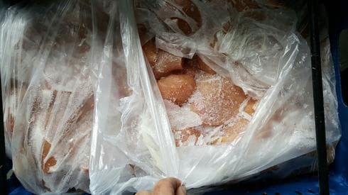 צילום: באדיבות עיריית פתח תקוה