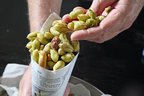 צילום: ריאן