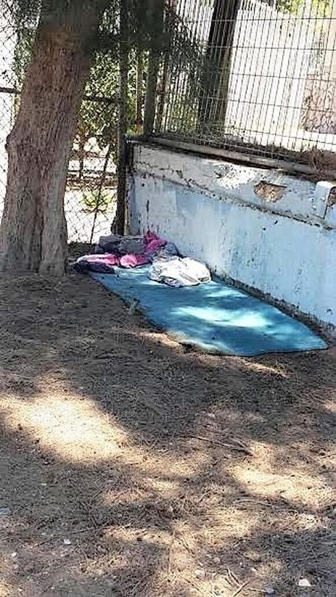 "היציע המערבי" | תמונות באדיבות התושבים