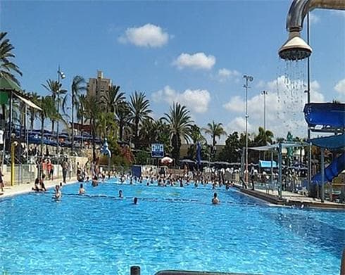 צילום: אריק אלון