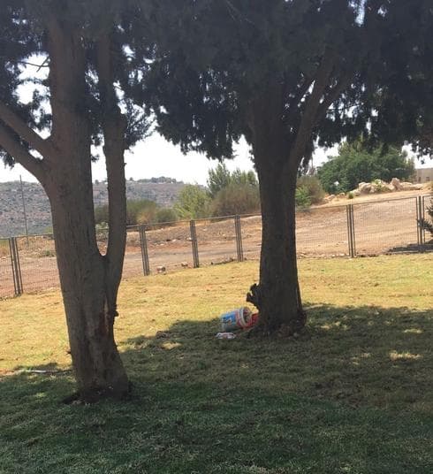 גן הכלבים ששודרג. צילום: אריה לוי