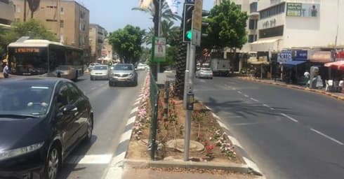 רחוב אחוזה | צילום: רועי רובינשטיין