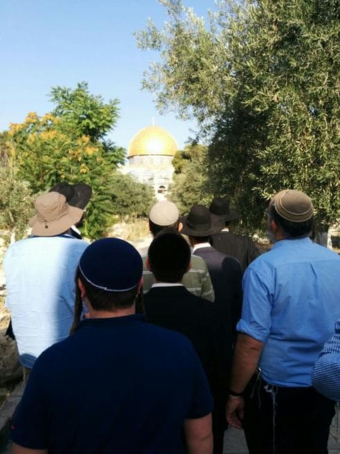 יהודים עולים להר הבית. צילום: ארנון סגל