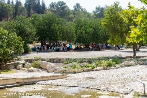 קרדיט צילום : אייל יוספטל, יותם יוספטל, תמר נורמן