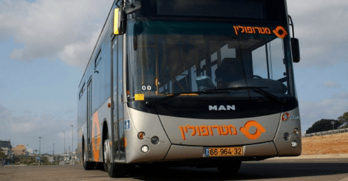 צילום: תומר פדר צילום: תומר פדר