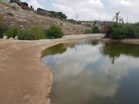 מראה פסטורלי בלב העיר מראה פסטורלי בלב העיר