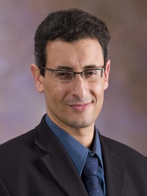לקדם בולטות לתחום. מידני, צילום: עמית שטראוס