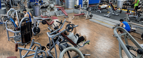 City gym. צילום: מתוך אתר חדר הכושר