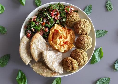 מונבטים. צילום: פריאל סימן טוב