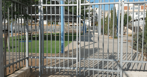 צילום: יעל שרר