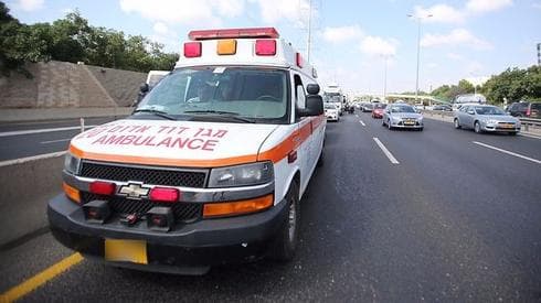 צילום: ירון ברנר