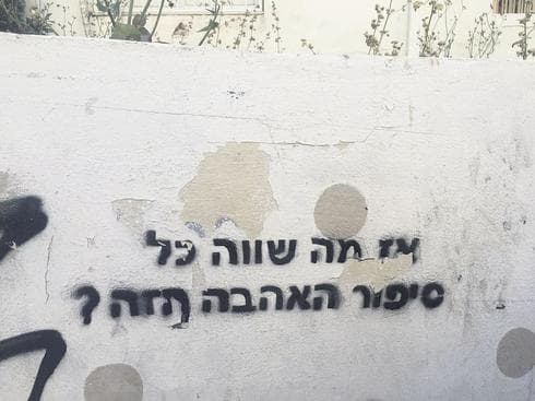 צילום: ליהיא לפיד