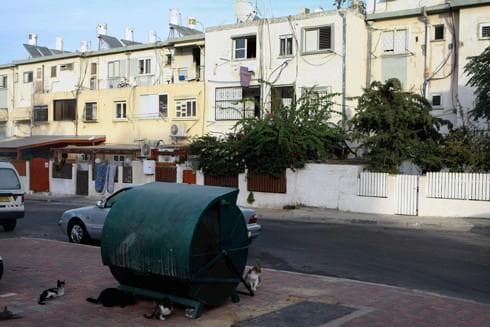 שכונת תל גיבורים | צילום: יריב כץ