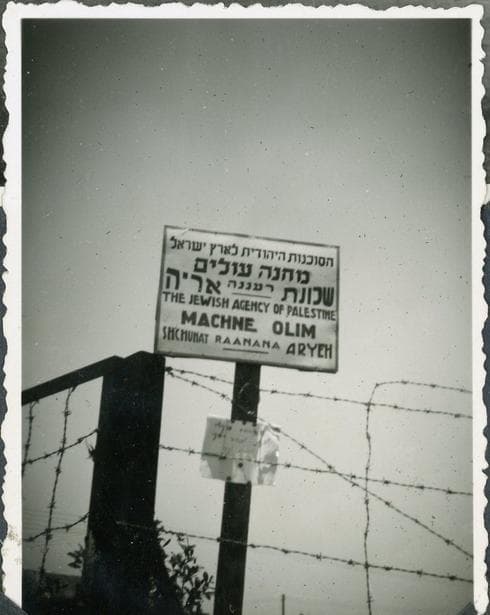 מחנה העולים בעיר | צילום: פרטי מחנה העולים בעיר | צילום: פרטי