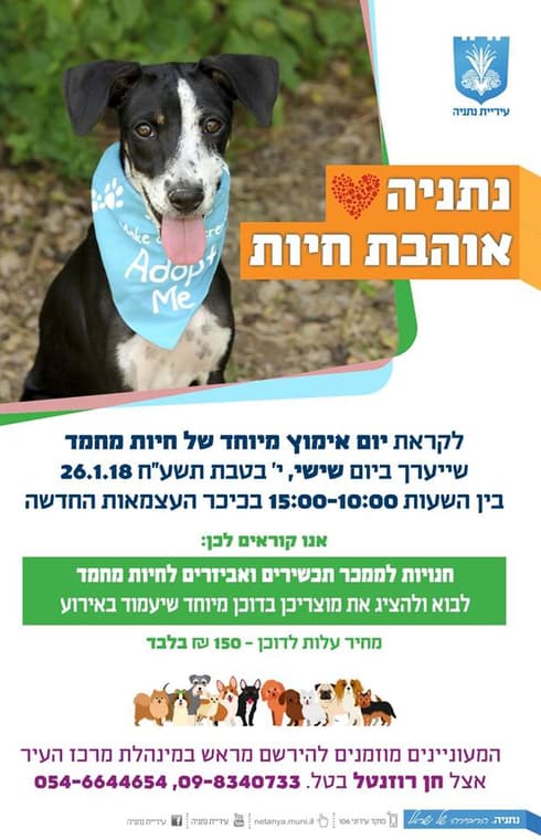 נתניה אוהבת חיות