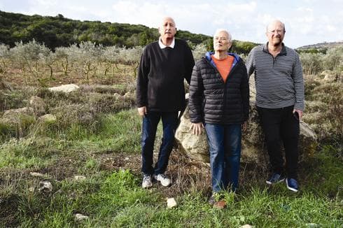 מימין לשמאל: מאיר ולידיה גרינפלד והלל גלזמן. צילום: נחום סגל מימין לשמאל: מאיר ולידיה גרינפלד והלל גלזמן. צילום: נחום סגל