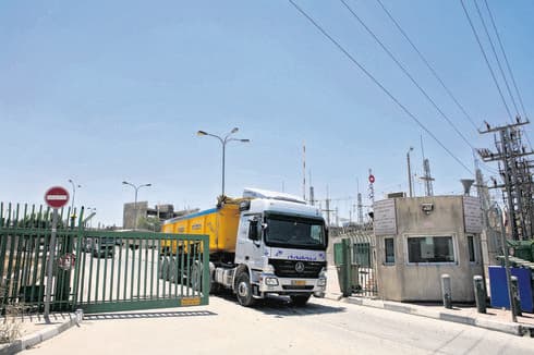 עטרות. צילום: ענר גרין