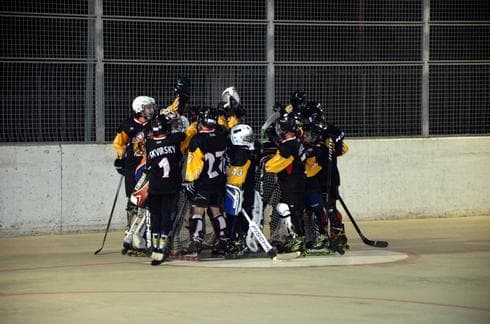 קבוצת WINGS בפעולה. צילום: אלכס הלפרן קבוצת WINGS בפעולה. צילום: אלכס הלפרן