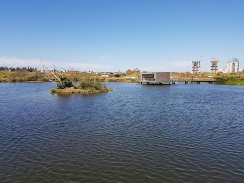 האגם האקולוגי הוד השרון. צילום: ניצן ינקו